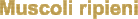 Muscoli ripieni